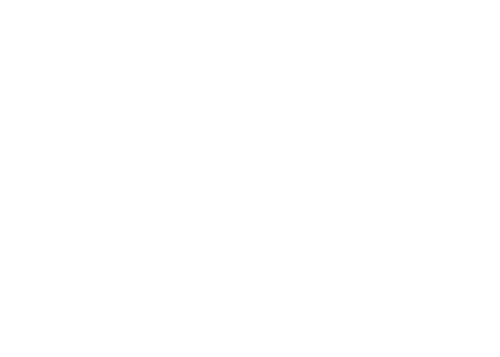 bgt_hrz_rgb_pos